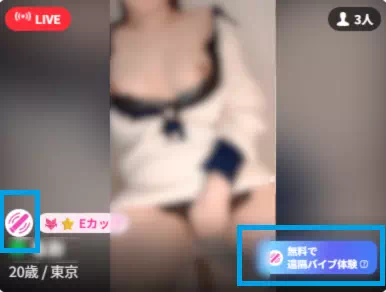 バイブ対応マーク